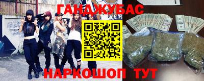 спиды Кингисепп