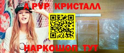 спиды Кингисепп