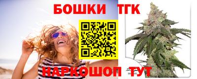 спиды Кингисепп