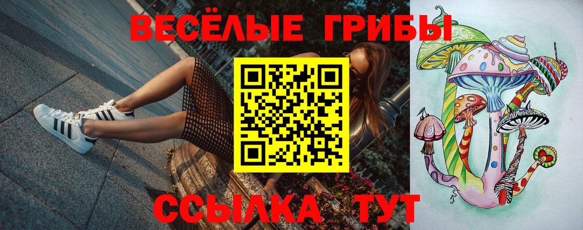 Псилоцибиновые грибы мицелий  Вход с VPN  Галлюциногенные грибы Psilocybe  Кунгур 