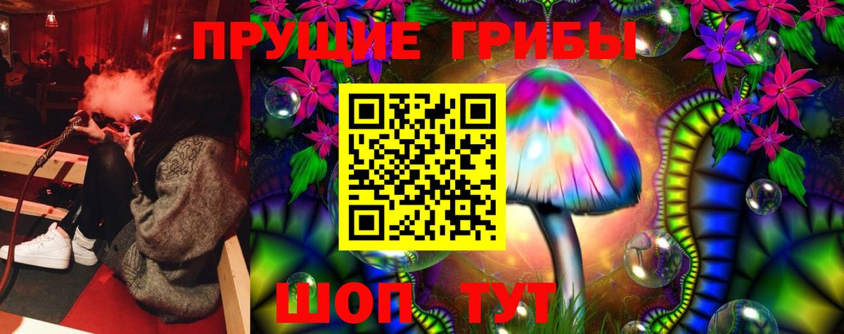 Галлюциногенные грибы Psilocybine cubensis Кунгур